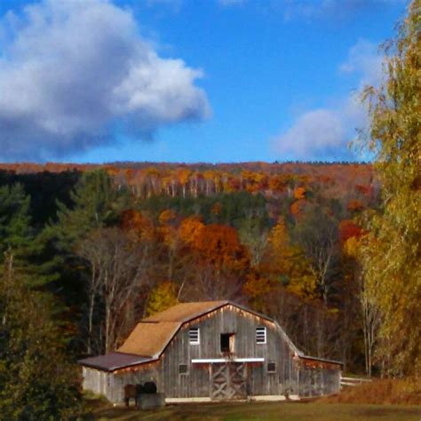 refresh the page. . Vermont craigslist farm and garden